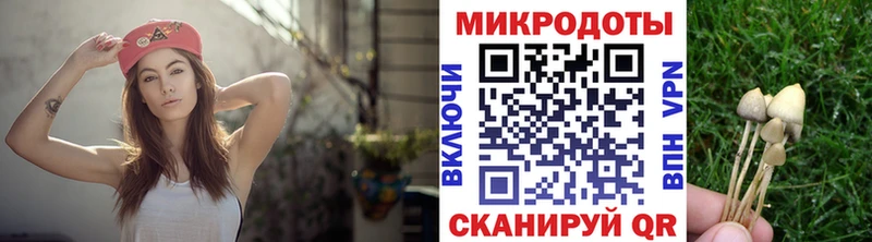 Псилоцибиновые грибы прущие грибы  Купить  Сенгилей 