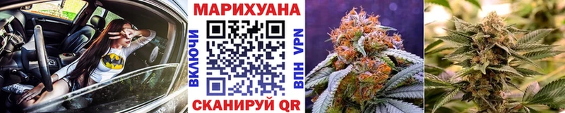 Купить  Сенгилей  Бошки марихуана гибрид 